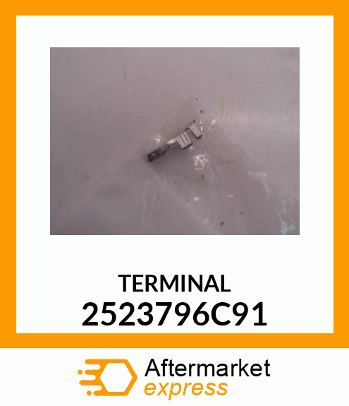 TERMINAL 2523796C91