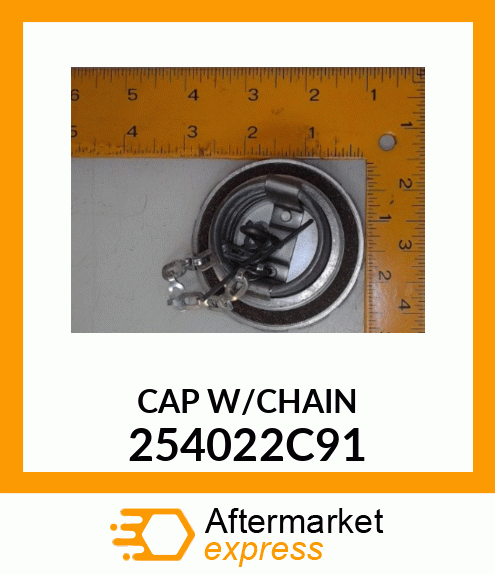 CAP W/CHAIN 254022C91