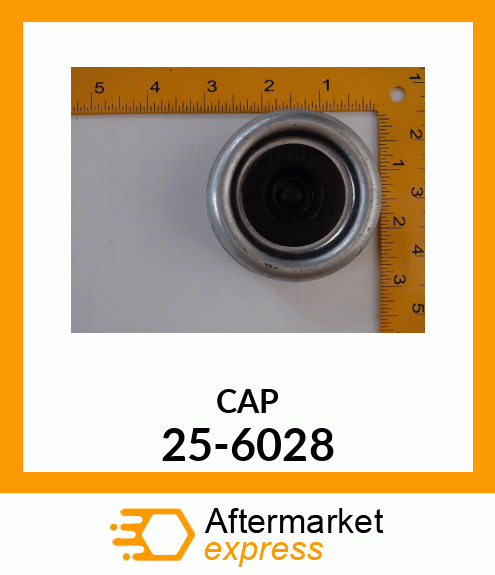 CAP 25-6028