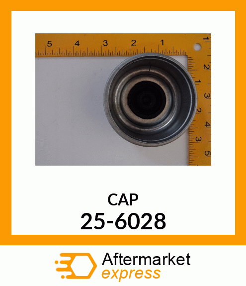 CAP 25-6028