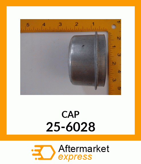 CAP 25-6028