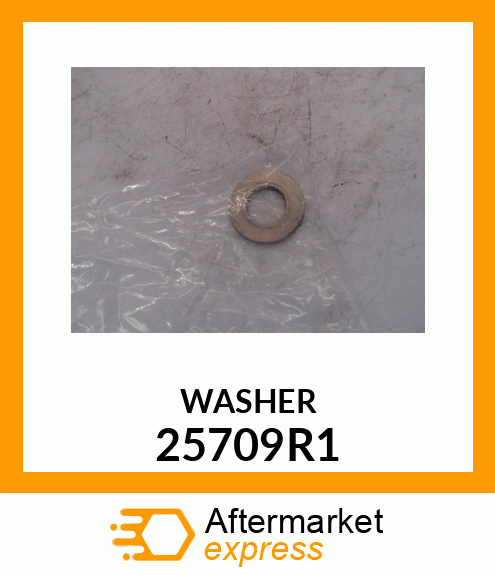 WASHER 25709R1