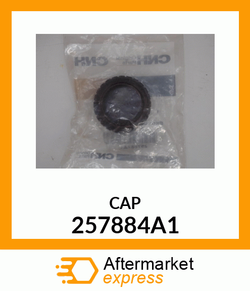 CAP 257884A1