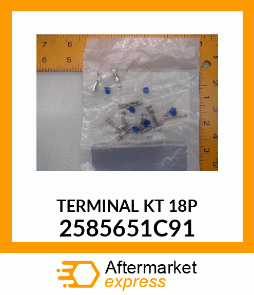 TERMINAL KT 18P 2585651C91