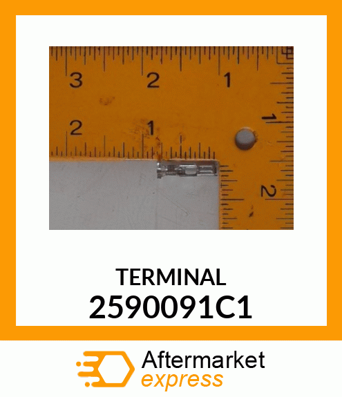 TERMINAL 2590091C1