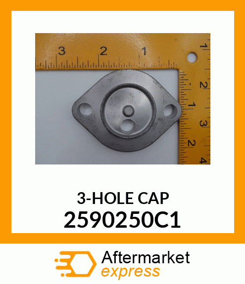 3-HOLE CAP 2590250C1