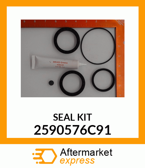 SEAL KIT 2590576C91