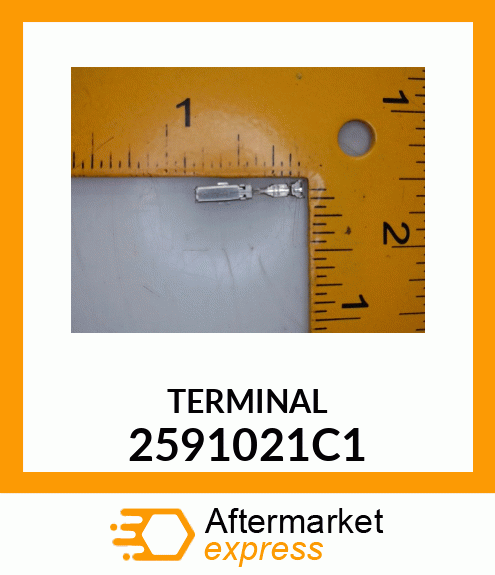 TERMINAL 2591021C1
