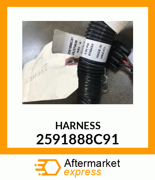 HARNESS 2591888C91