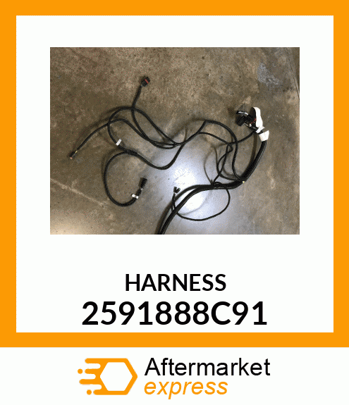 HARNESS 2591888C91