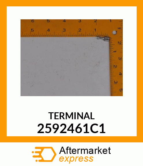 TERMINAL 2592461C1