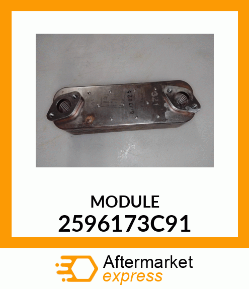 MODULE 2596173C91