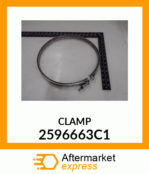 CLAMP 2596663C1