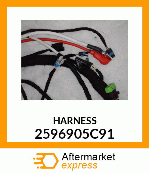 HARNESS 2596905C91