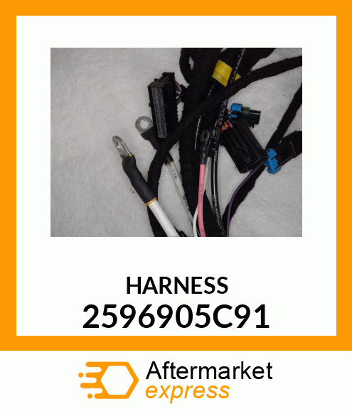 HARNESS 2596905C91