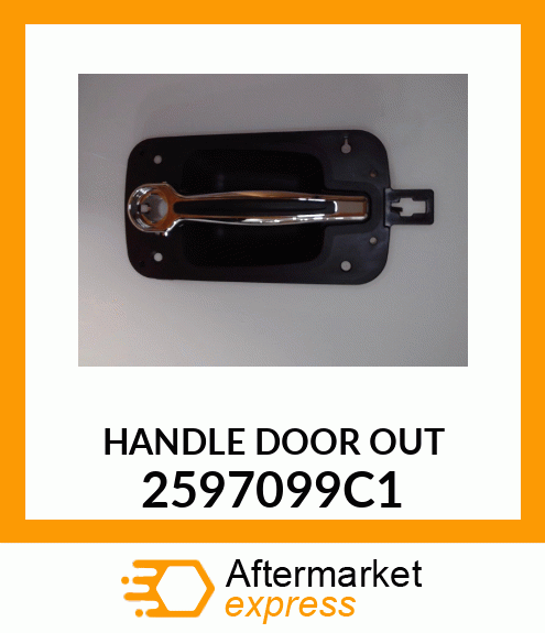 HANDLE DOOR OUT 2597099C1
