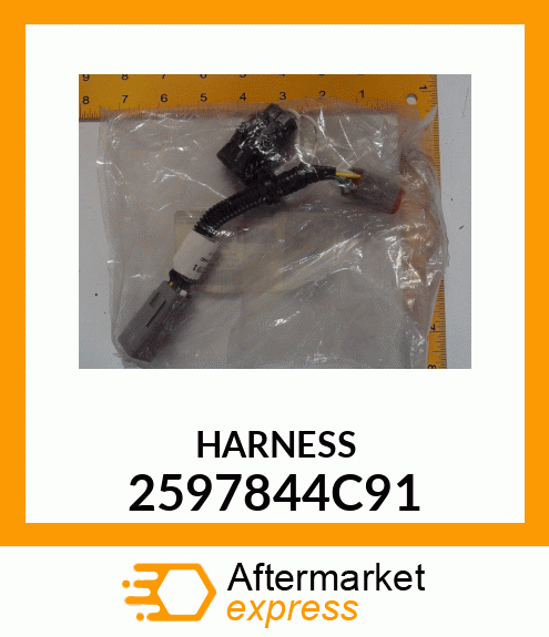 HARNESS 2597844C91