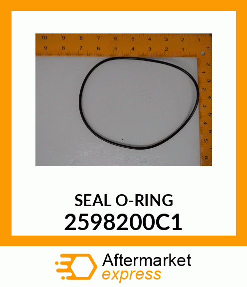 SEAL O-RING 2598200C1