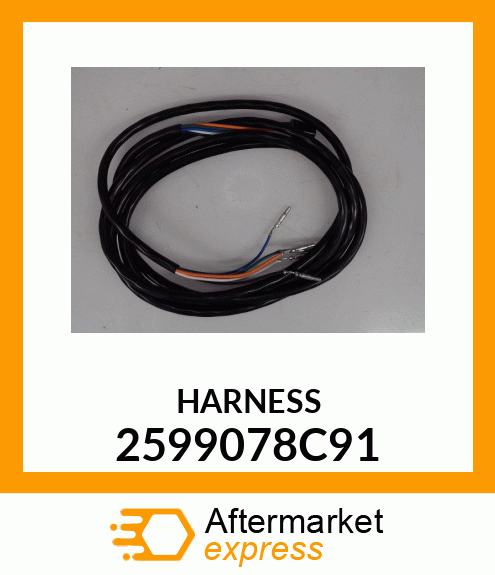 HARNESS 2599078C91