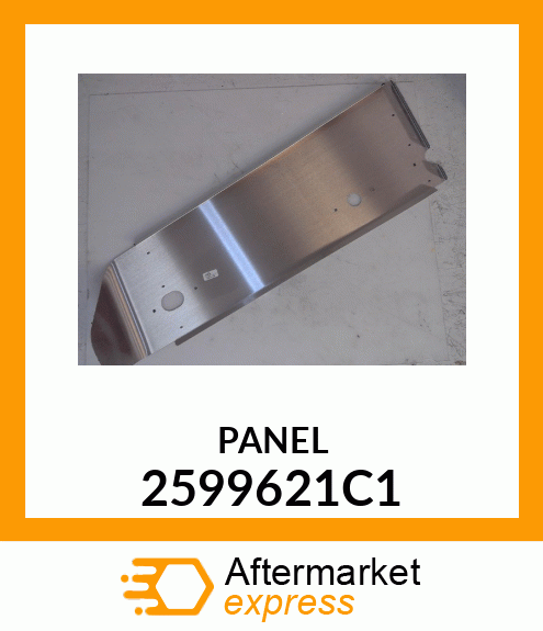 PANEL 2599621C1