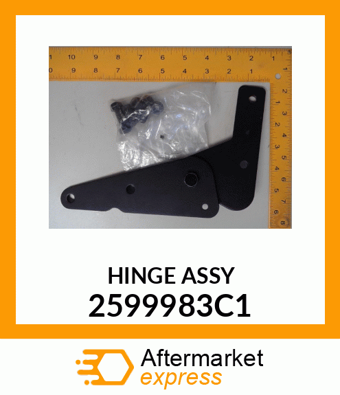 HINGE ASSY 2599983C1