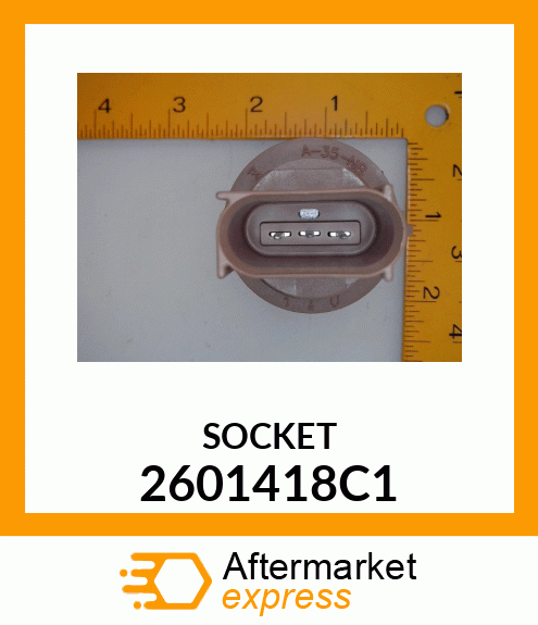 SOCKET 2601418C1