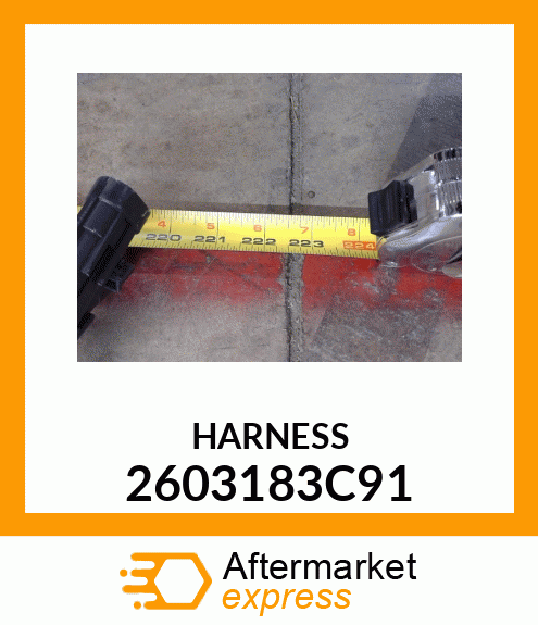 HARNESS 2603183C91