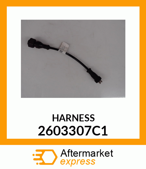 HARNESS 2603307C1