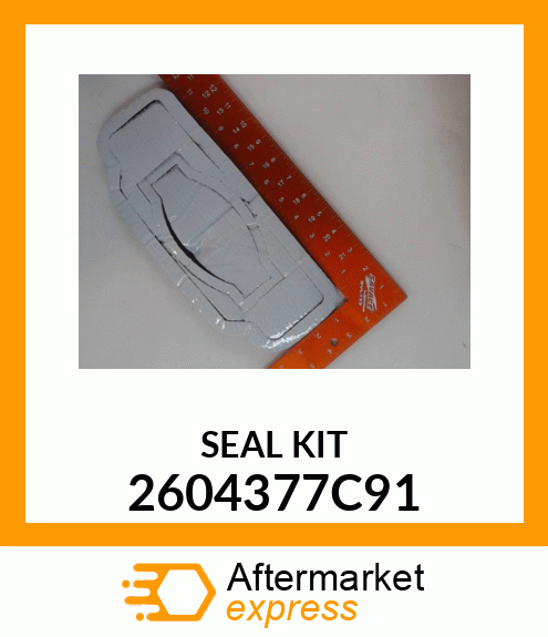 SEAL KIT 2604377C91