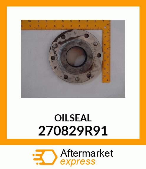 OILSEAL 270829R91