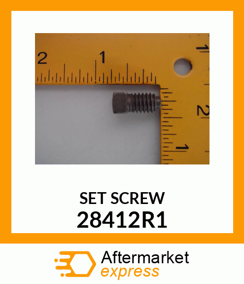 SET SCREW 28412R1