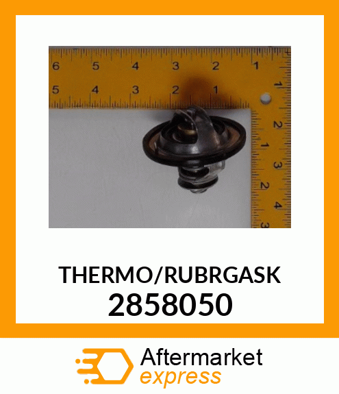 THERMO/RUBRGASK 2858050