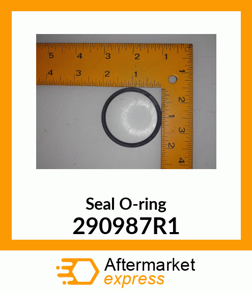 Seal O-ring 290987R1