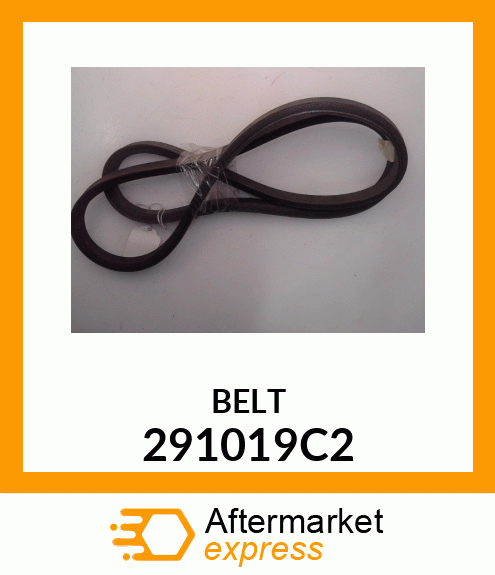 BELT 291019C2