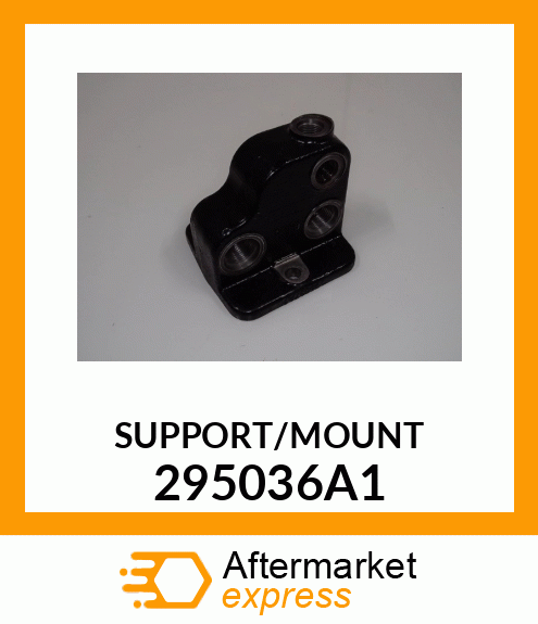 SUPPORT/MOUNT 295036A1