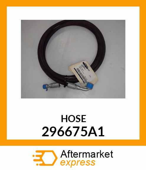 HOSE 296675A1