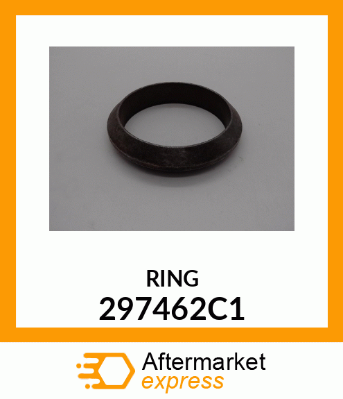 RING 297462C1
