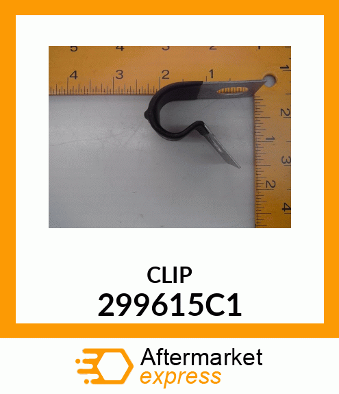 CLIP 299615C1