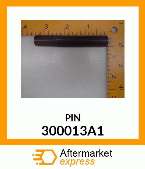 PIN 300013A1