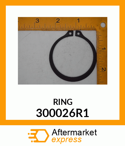 RING 300026R1