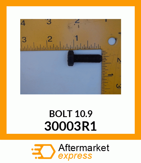 BOLT 10.9 30003R1