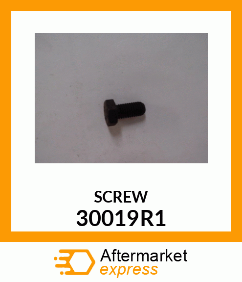 SCREW 30019R1