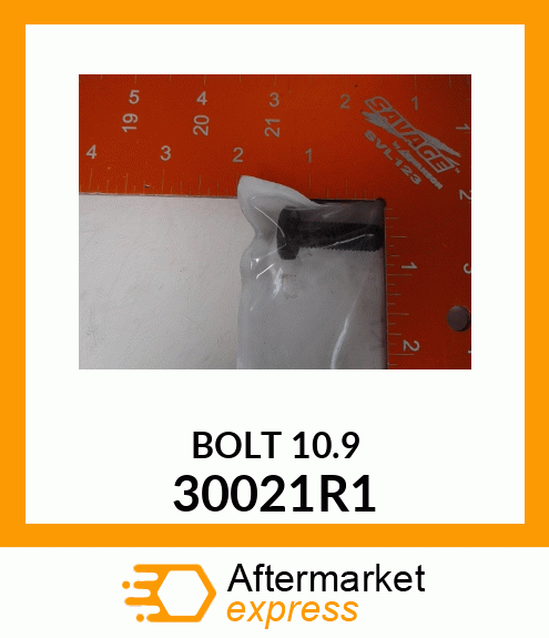 BOLT 10.9 30021R1