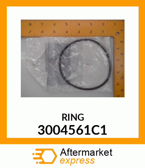 RING 3004561C1