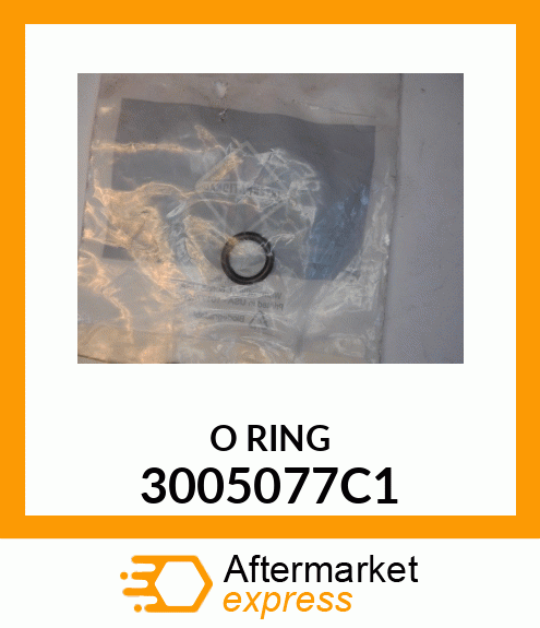 O RING 3005077C1