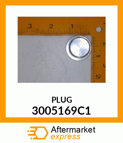 PLUG 3005169C1