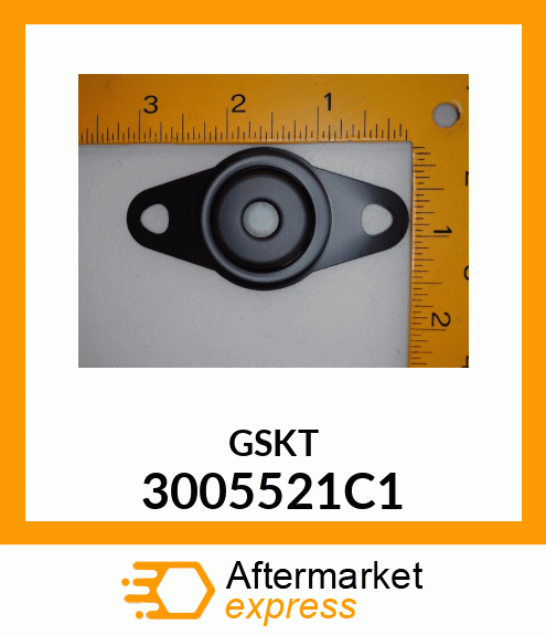 GSKT 3005521C1