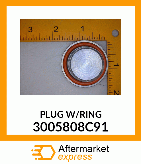 PLUG W/RING 3005808C91