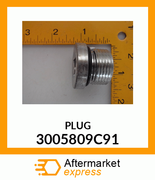 PLUG 3005809C91