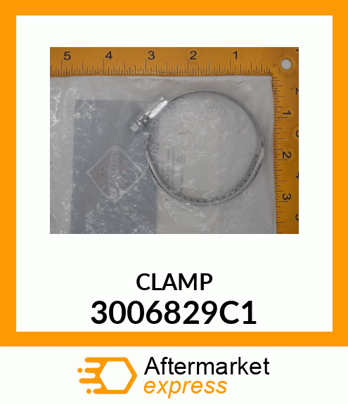 CLAMP 3006829C1